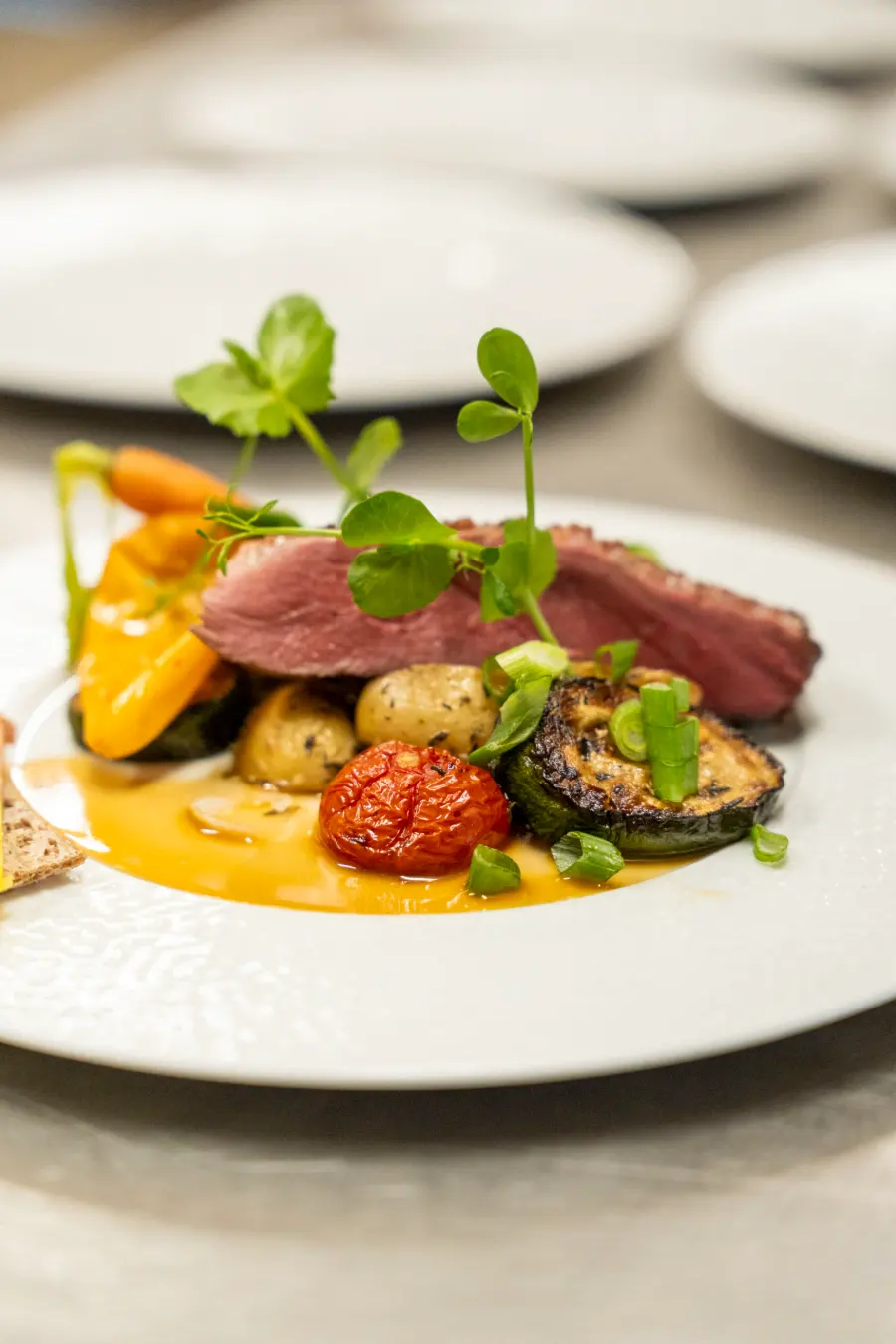 Assiette gastronomique de magret et légumes de saison, chef à domicile à Bordeaux